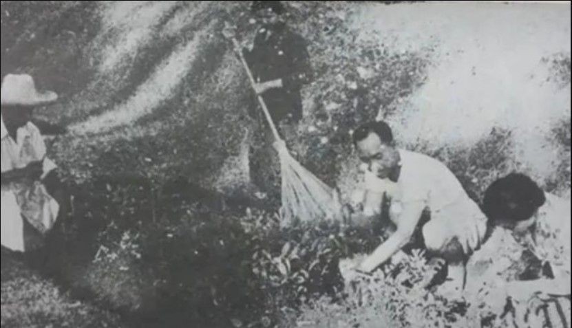 Tukang Kebun Soekarno