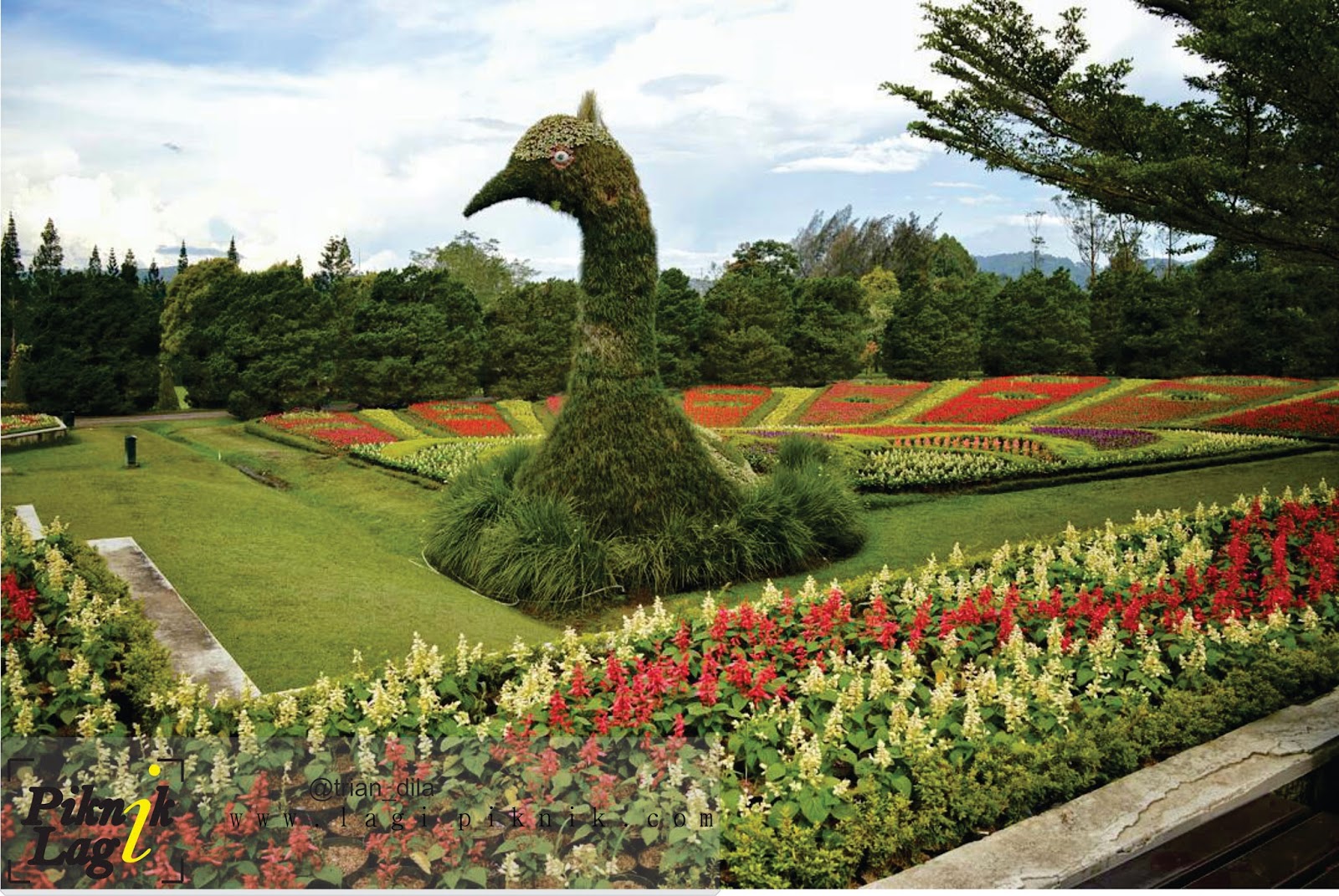 1 Tempat Wisata Di Cianjur Www Lagipiknik Com Jpg