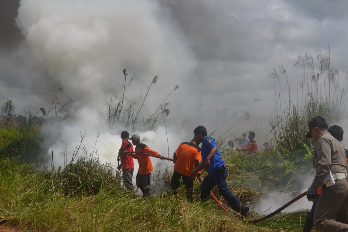 Kebakaran Hutan Dan Lahan Di Indonesia, Bikin Malu Jokowi? - Berita ...