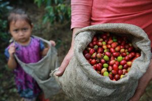 Ekspor kopi Indonesia