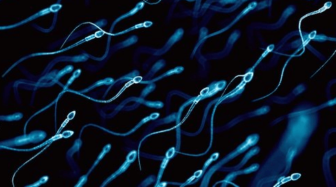  Warna Sperma Bisa Jelaskan Kondisi Kesehatan Seperti Apa 