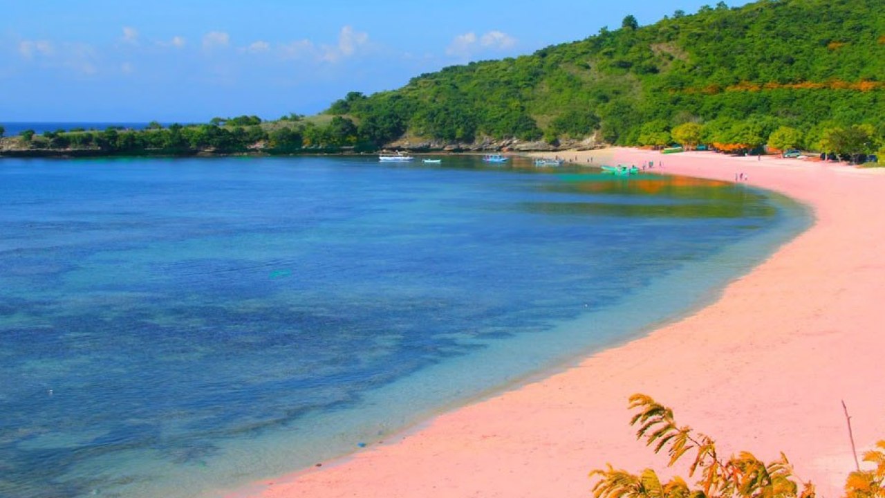 Pesona Pasir Berwarna Pink di Pantai Tangsi Lombok ...