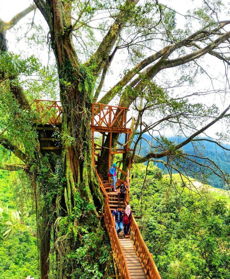 Keindahan dan Harga Tiket Curug Ciherang yang Disukai ...