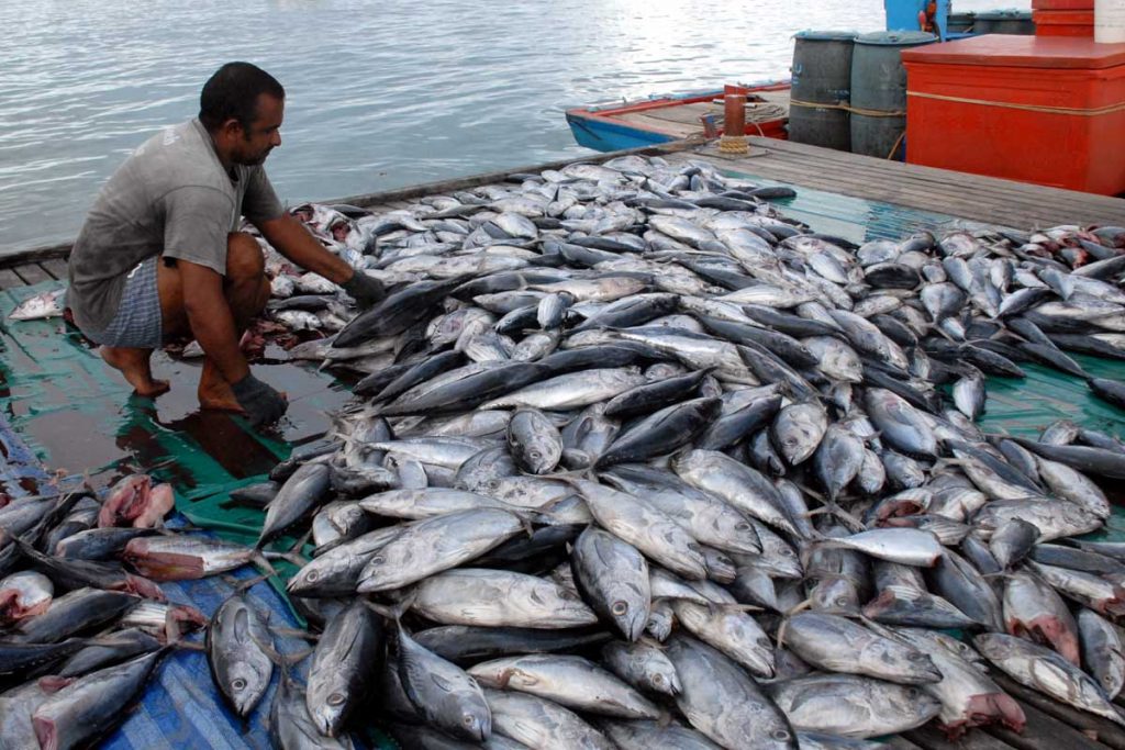Produktivitas nelayan Indonesia