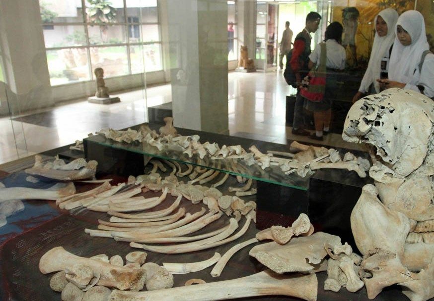 museum negeri di Teladan barat