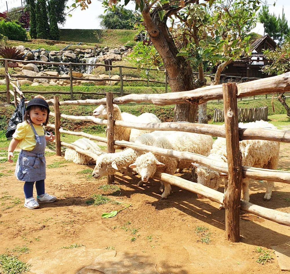 Wisata anak di Bogor