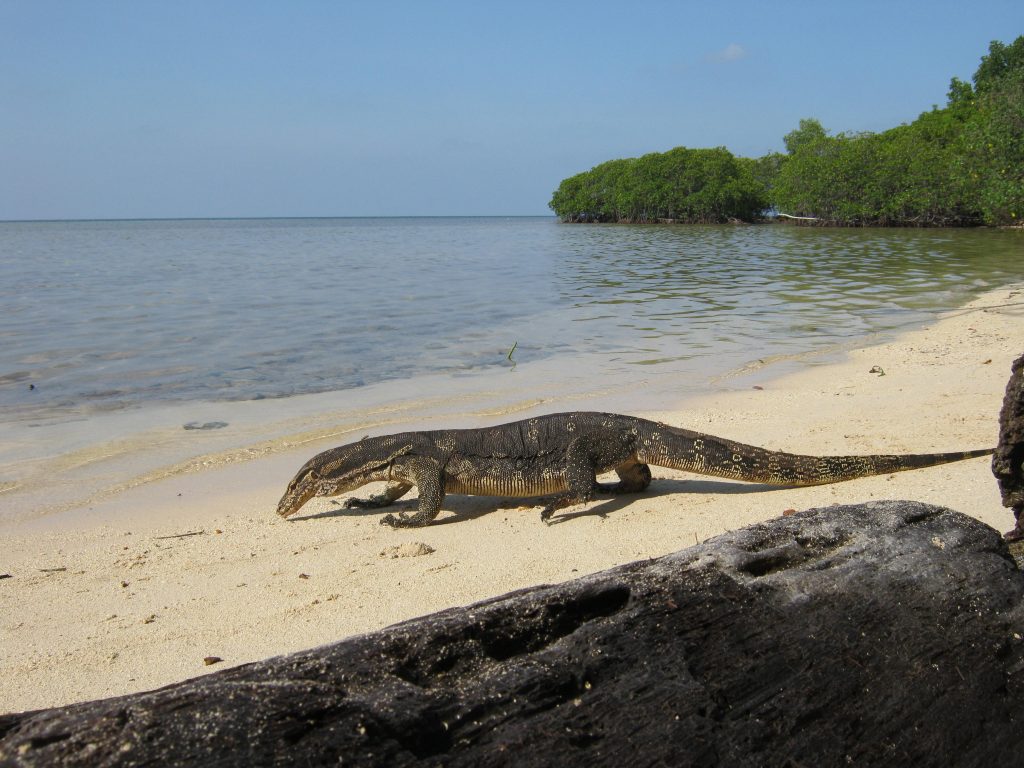 Pariwisata Jawa Barat