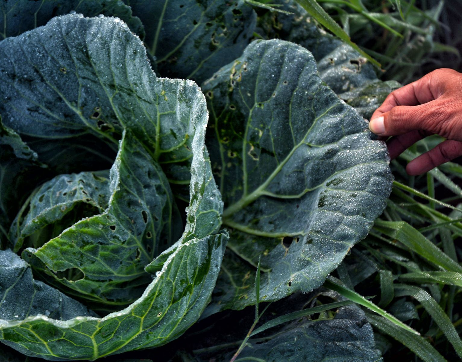 Berita Jogja Hari Ini: Udara Jogja Kok Dingin, sih? Ini ...
