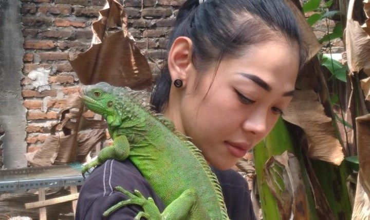 Berawal Dari Hobi Perempuan Madiun Ini Meraup Keuntungan Dari